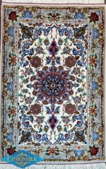 Product S12