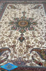 Product 16S - Image 2